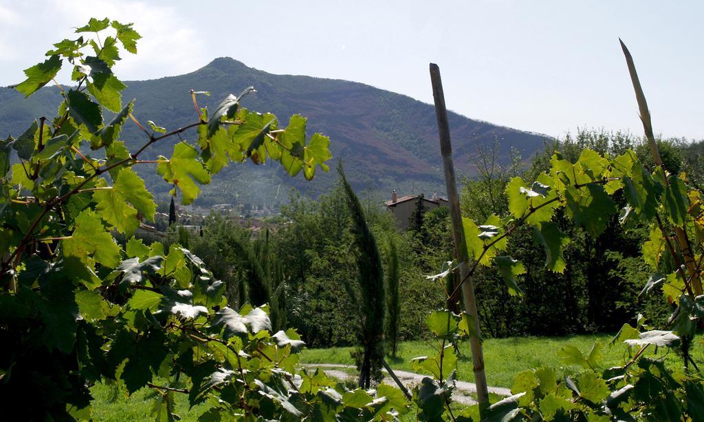 Al Palazzaccio Villa Calci Kültér fotó