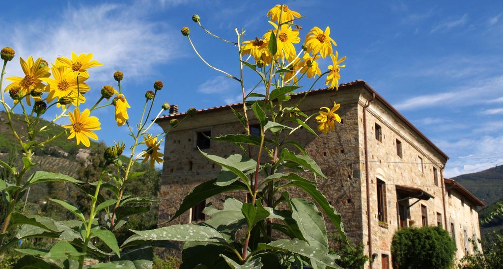 Al Palazzaccio Villa Calci Szoba fotó